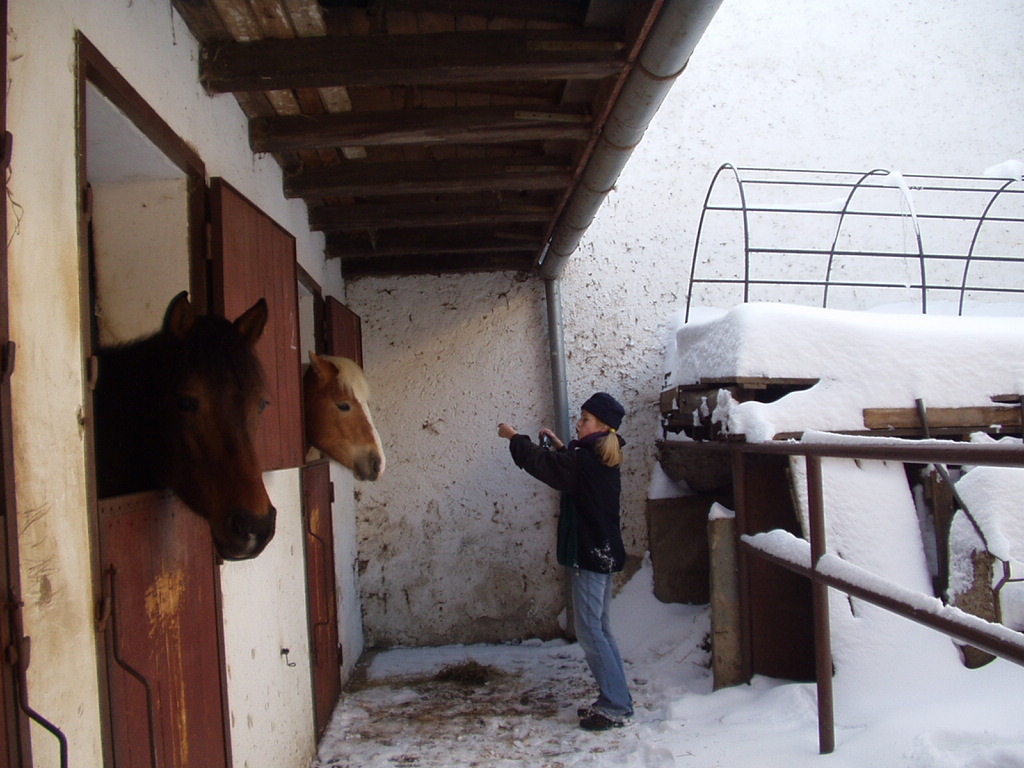 P1010024.JPG