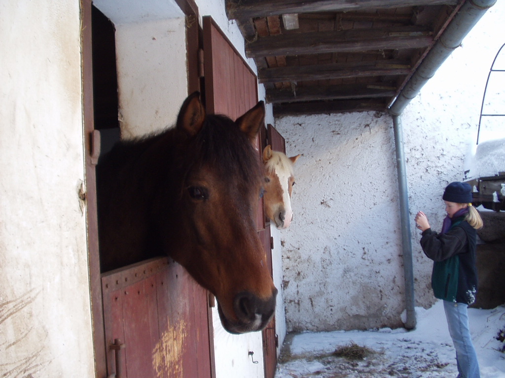 P1010023.JPG