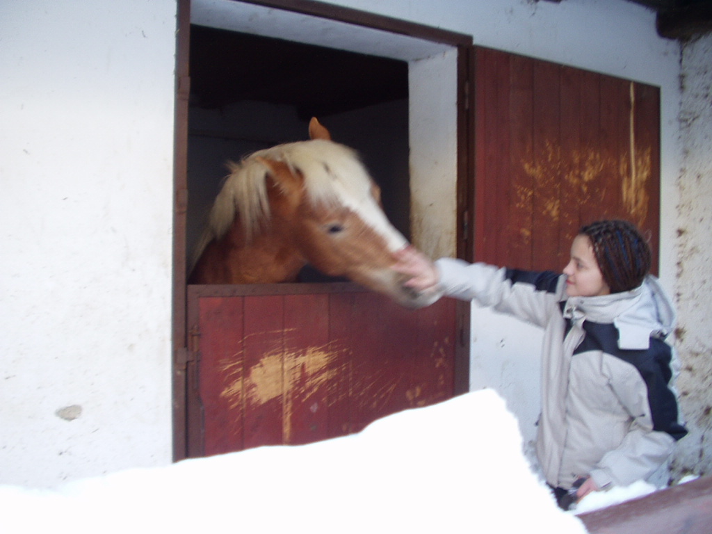 P1010006.JPG